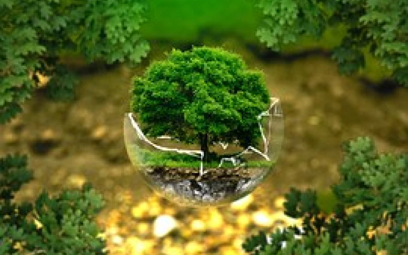 Sistemas de gestión ambiental